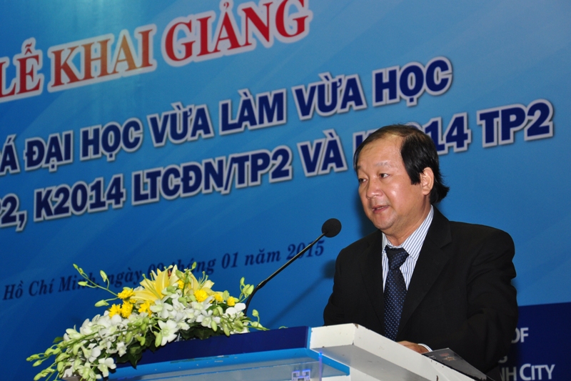 cá cược thể thao hul city